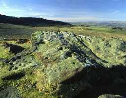 Cup and ring marked stones, Lordenshaws (Copyright © Don Brownlow)