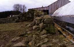 Remains of Fallowlees Bastle, Hollinghill. Photo by Peter Ryder.