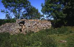 Ruined bastle at Healey, Nunnykirk. Photo by Peter Ryder.