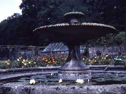 Fountain in Meldon Park.
Photo by Harry Rowland.