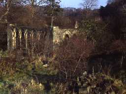 Newminster Abbey.
Photo by Harry Rowland, 1981.