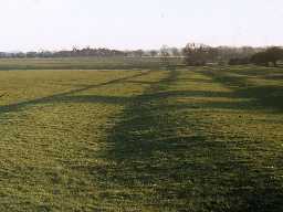 Ridge and furrow fields at Benridge.
Photo by Harry Rowland.