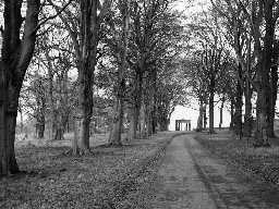 Temple in Blagdon Park. Photo Northumberland County Council, 1956.