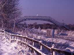 Morpeth Station.
Photo by Harry Rowland, 1982.