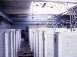 Inside Lynemouth Colliery Baths.