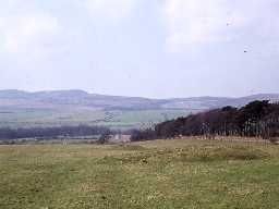 Route of Dere Street in mid Northumberland.
Photo by Harry Rowland.