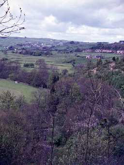 View across Allendale.
Photo by Harry Rowland.