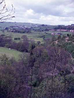 View across Allendale.
Photo by Harry Rowland.