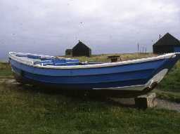 Coble at Beadnell. Photo by Glasgow University.