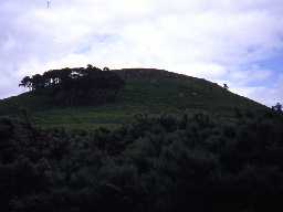 View of Old Bewick hillfort. Photo by Northumberland County Council, 1991.