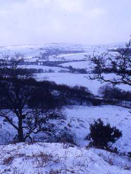 View across Edlingham towards the castle.
Photograph by Harry Rowland, 1986.