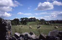 View across fields to Harbottle Castle and village. Photo by Northumberland County Council.