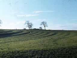 Fields of ridge and furrow, west of Kirkwhelpington.
Photo by Harry Rowland.