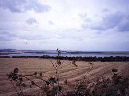 View across farmland near Budle Bay. Photo Northumberland County Council.