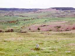 Longframlington.
Photo by Harry Rowland.