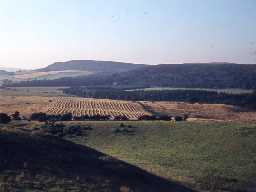 View over Eglingham parish towards Old Bewick (Bewick parish).
Photograph by Harry Rowland.