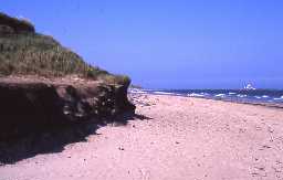 Low Hauxley beach and Coquet Island. Photo by Northumberland County Council.