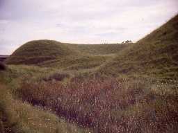 Earthworks of the motte and bailey castle at Elsdon.
Photo by Harry Rowland, 1967.