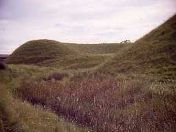 Earthworks of the motte and bailey castle at Elsdon.
Photo by Harry Rowland, 1967.