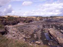 View along the coast near Howick. Photo Glasgow University.