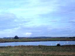 Countryside near Pegswood.
Photo by Harry Rowland, 1980.