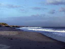 View across Druridge Bay.
Photograph by Harry Rowland, 1980.