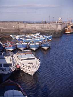 Boats in Seahouses harbour.
Photo by Harry Rowland.