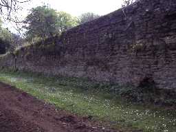 Walled garden at Fallodon Hall.