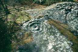 Roughting Linn cup and ring marked stone. 
Photo by Northumberland County Council.