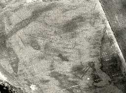 Aerial view of cropmarks showing buildings and enclosures at Maelmin, near Milfield. Photo © Tim Gates.