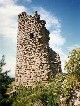 Duddo Tower. Photo by Northumberland County Council.