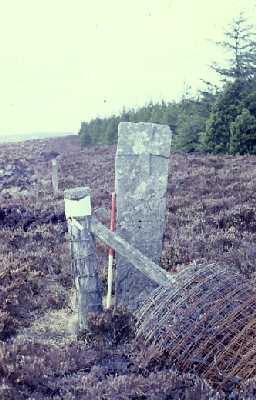 Medieval boundary stone on Callaly Moor.