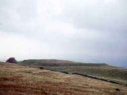 Towwon Burgh hillfort.
Photo by Harry Rowland.