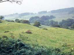 Old Rothbury hillfort.
Photo by Harry Rowland.