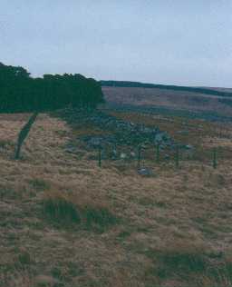Bellshiel Law long cairn. Photo by Northumberland County Council.