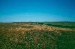 Standing circle on Doddington Moor. Photo by Northumberland County Council.