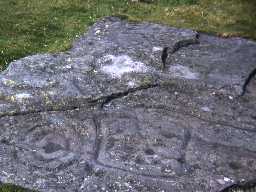 Cup and ring marked stone on Dod Law.
Photo by Harry Rowland. Cup and ring marked stone on Dod Law.
Photo by Harry Rowland.
