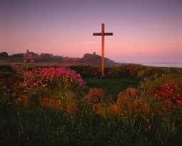 St Cuthbert's Isle, Holy Island (Copyright © Don Brownlow)