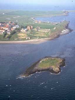 St Cuthbert's Isle from the air, with Holy Island behind. Photo by Mick Aston, 2000.