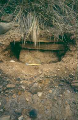 A cist at Low Hauxley as first seen in 1994. Photo by Northumberland County Council.