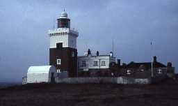 Coquet Island lighthouse.