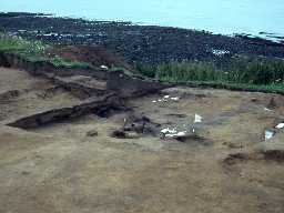 Excavations at Howick Haven. Photo by Alastair Barclay.