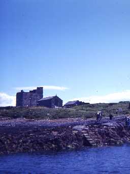 Inner Farne Island.
Photo by Harry Rowland.