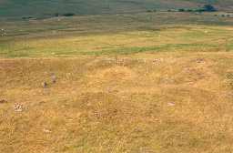 Roman period native settlement near Great Hetha, Kirknewton. Photo by Northumberland County Council.