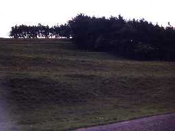 Cultivation terraces near Hethpool.
Photo by Harry Rowland.