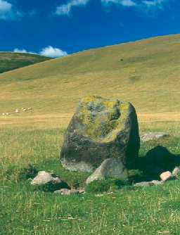 One of the stones at Hethpool stone circle, Kirknewton. Photo by Northumberland County Council.