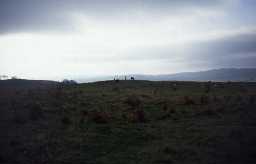 Mare and Foal stone circle. Photo Northumberland County Council.