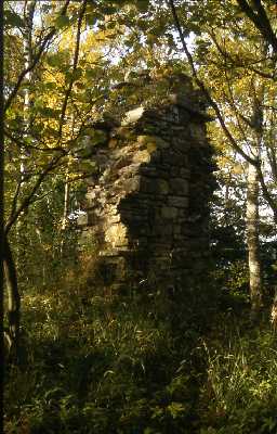 Ruins of Staward Pele, Haydon. Photo by Peter Ryder.