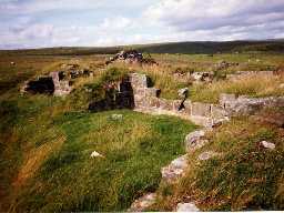 Remains of Dally Castle, Greystead. Photo by Northumberland County Council.