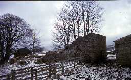 Bastle ruin at Whiteley Shield, West Allen. Photo by Peter Ryder.